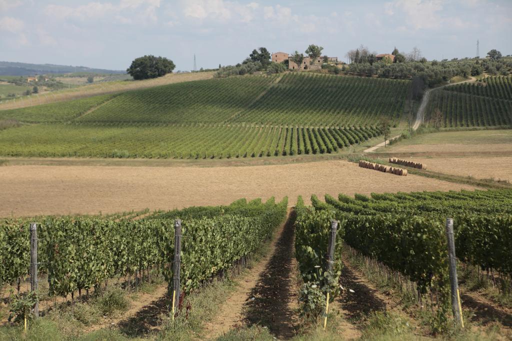 Agriturismo Spazzavento Vinci Exterior photo